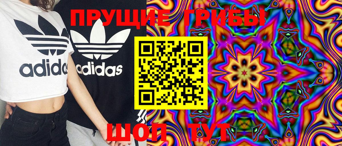 Набережные Челны  Псилоцибиновые грибы Magic Shrooms  Вход с VPN 